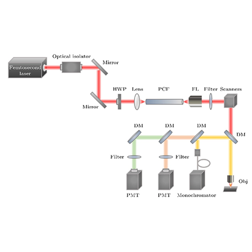 Multiphoton Shortpass Emission Filter